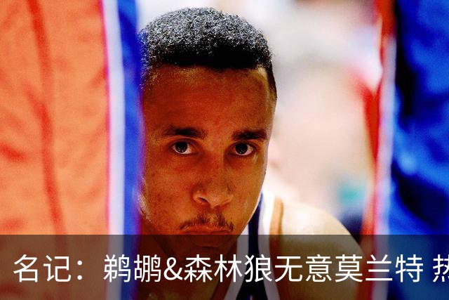 名记：鹈鹕&森林狼无意莫兰特 热火也不急于尝试其与字母哥的搭档